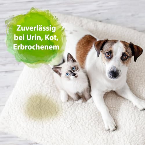 Detalle de Bactador Enzymreiniger Spray 750 ml – Geruchs- und Fleckenentferner für Hundeurin & Katzenurin