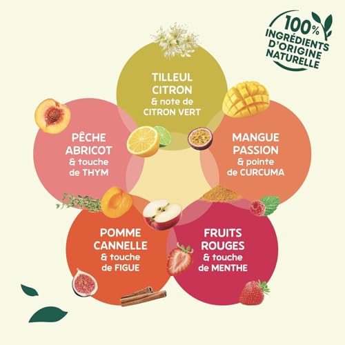 Thumbnail 2 de Elephant Infusion Collection Fruitée – Assortiment 5 Tisanes en Sachets Pyramid, 50 Sachets