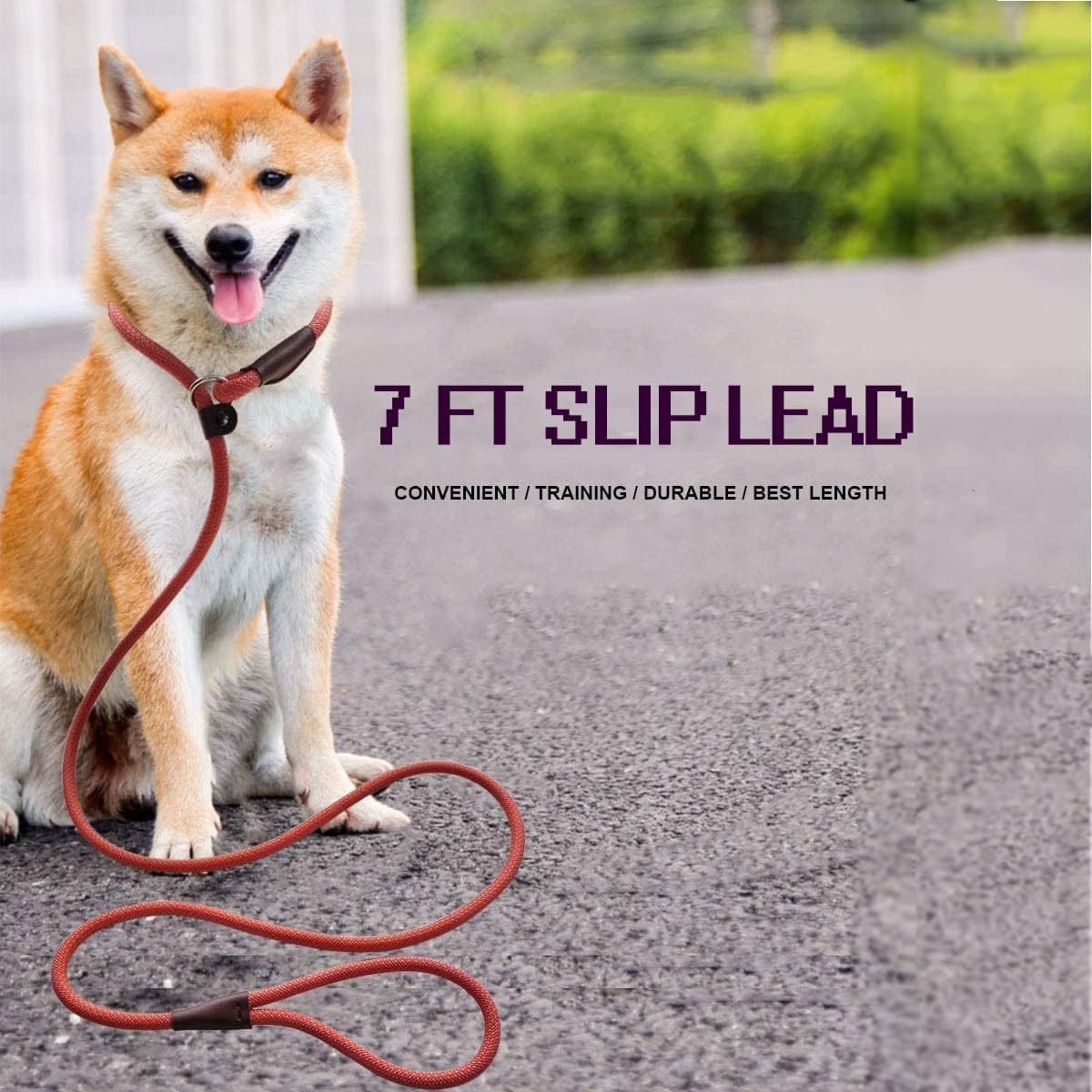 Thumbnail 6 de MayPaw Dog Slip Lead – 7ft Nylon Training Lead with No Collar Required