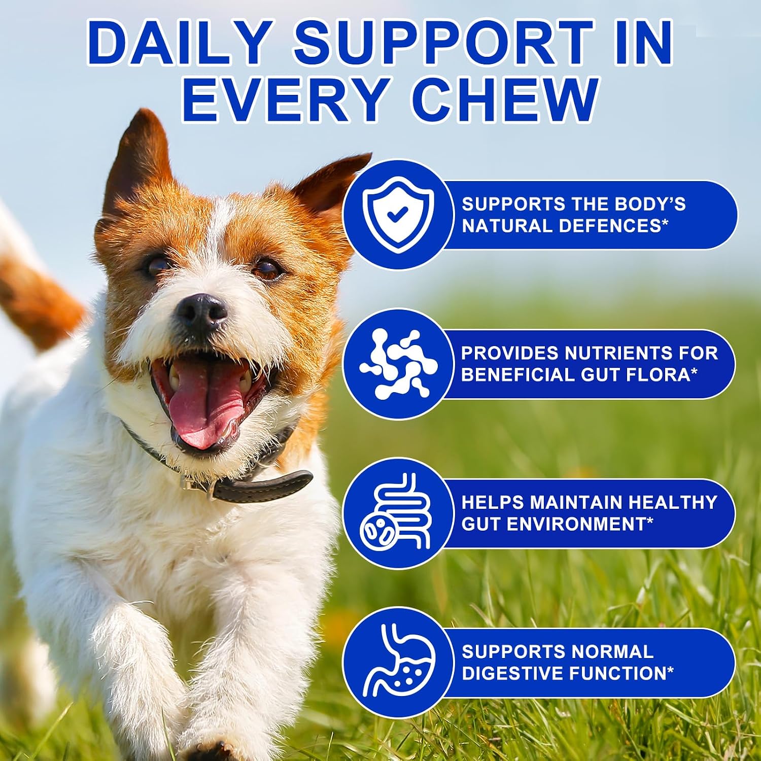 Detalle 2 de Probiotici Per Cani, 150 Compresse Masticabili al Gusto Anatra (Duck Flavor) – Supporto digestivo e immunitario per cani di tutte le età