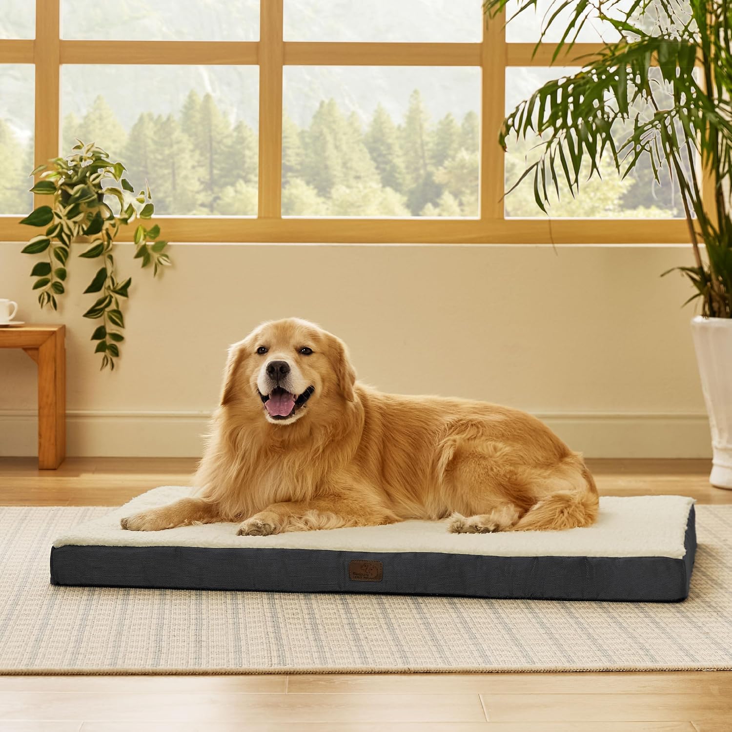 Thumbnail 5 de BEDSURE orthopädisches Hundebett 112x81