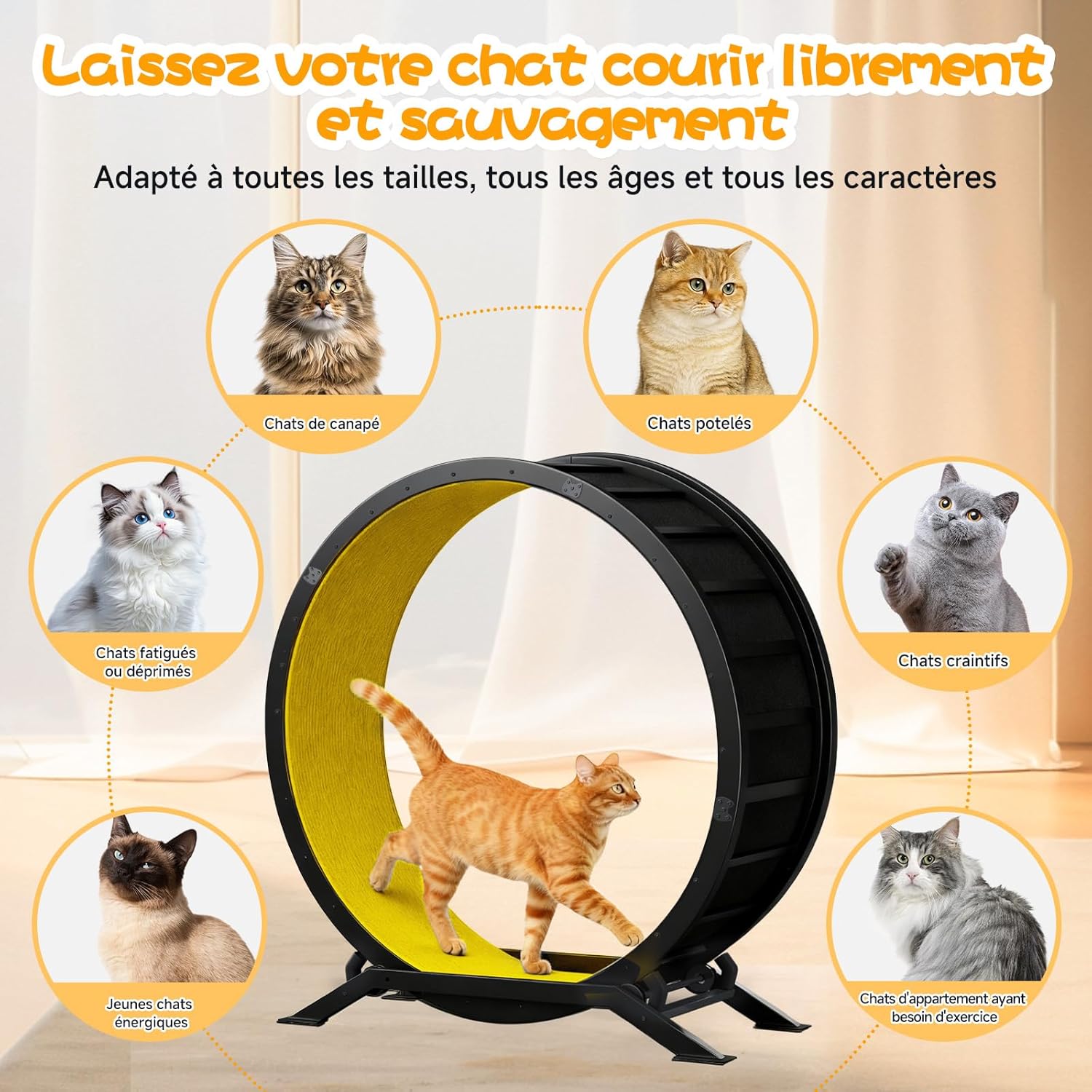 Thumbnail 3 de GTPLAYER Roue pour Chat XL 100 cm – Roue d'exercice silencieuse avec tapis amovible