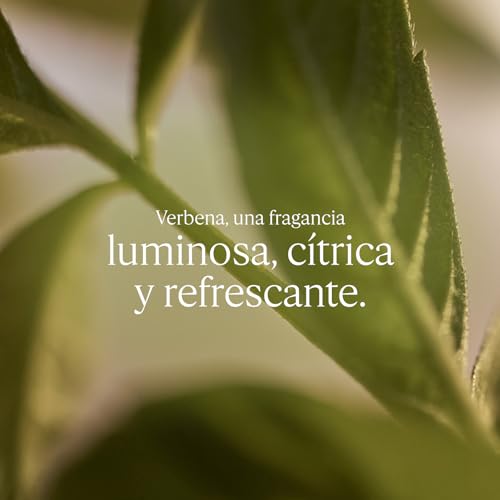 Thumbnail 2 de L'OCCITANE Jabón Verbena 500 ml