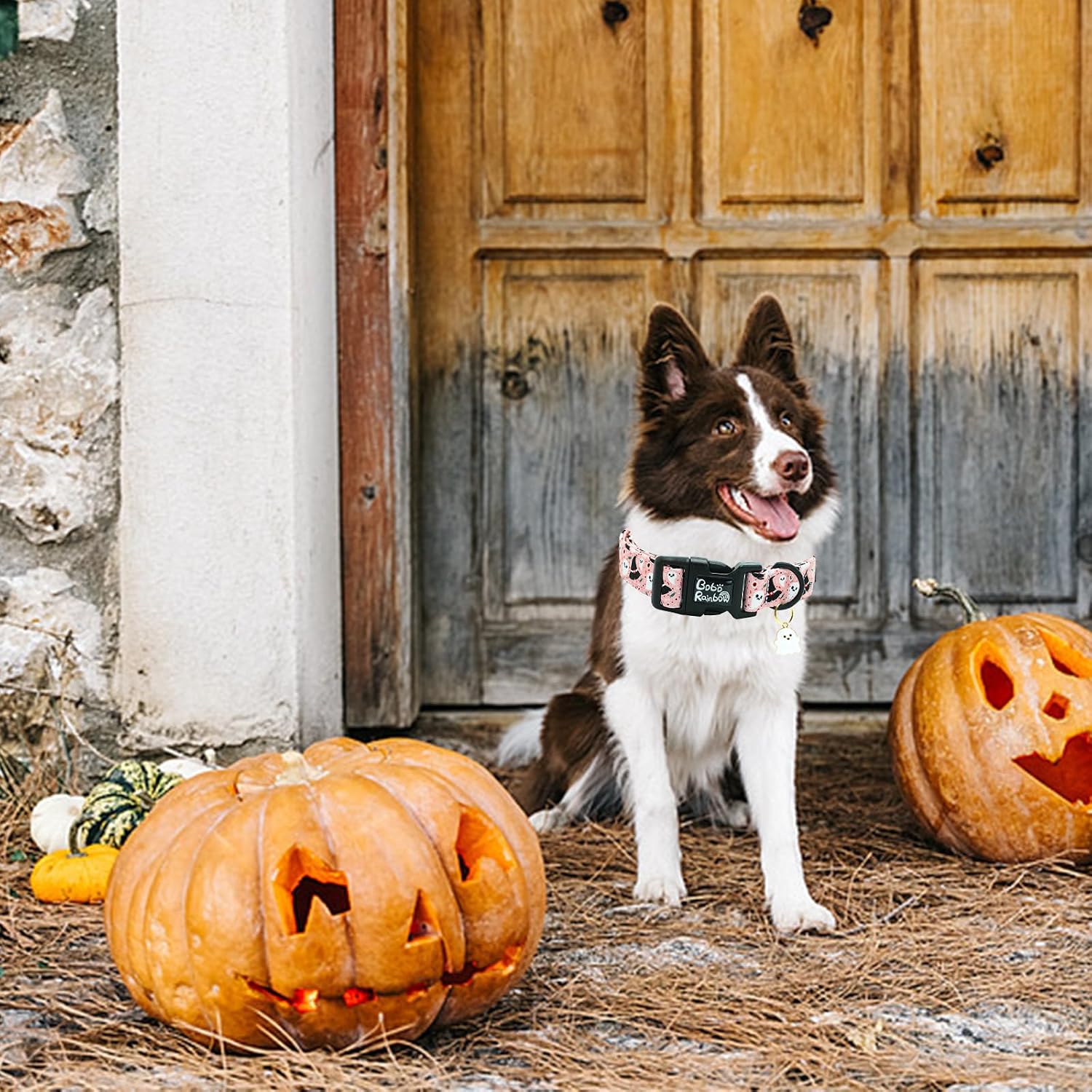 Thumbnail 3 de Bobo Rainbow Ghost Dog Collar, Adjustable Cotton Halloween Collar with Quick-Release Buckle