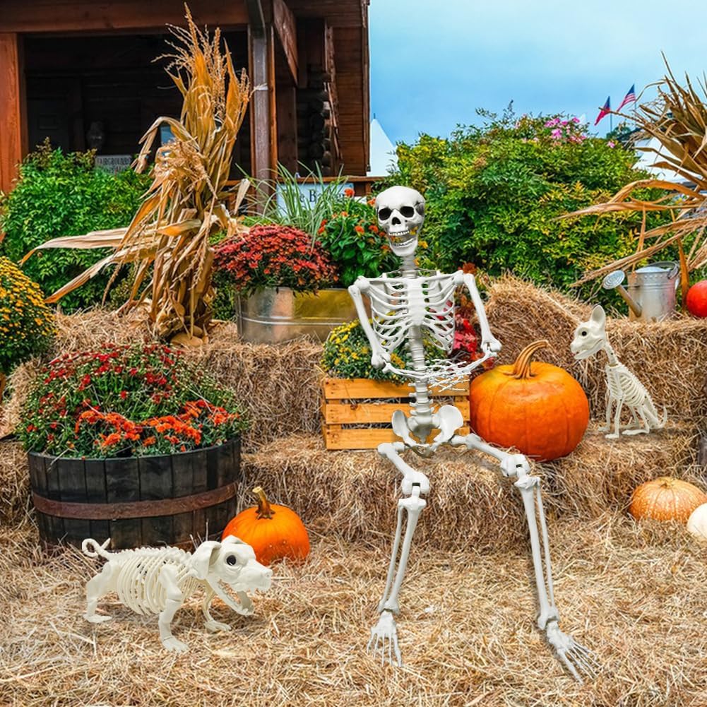 Detalle de CAMIRUS LR-WSJ-GJ 5.4 ft Posable Halloween Skeleton with Dog and Cat