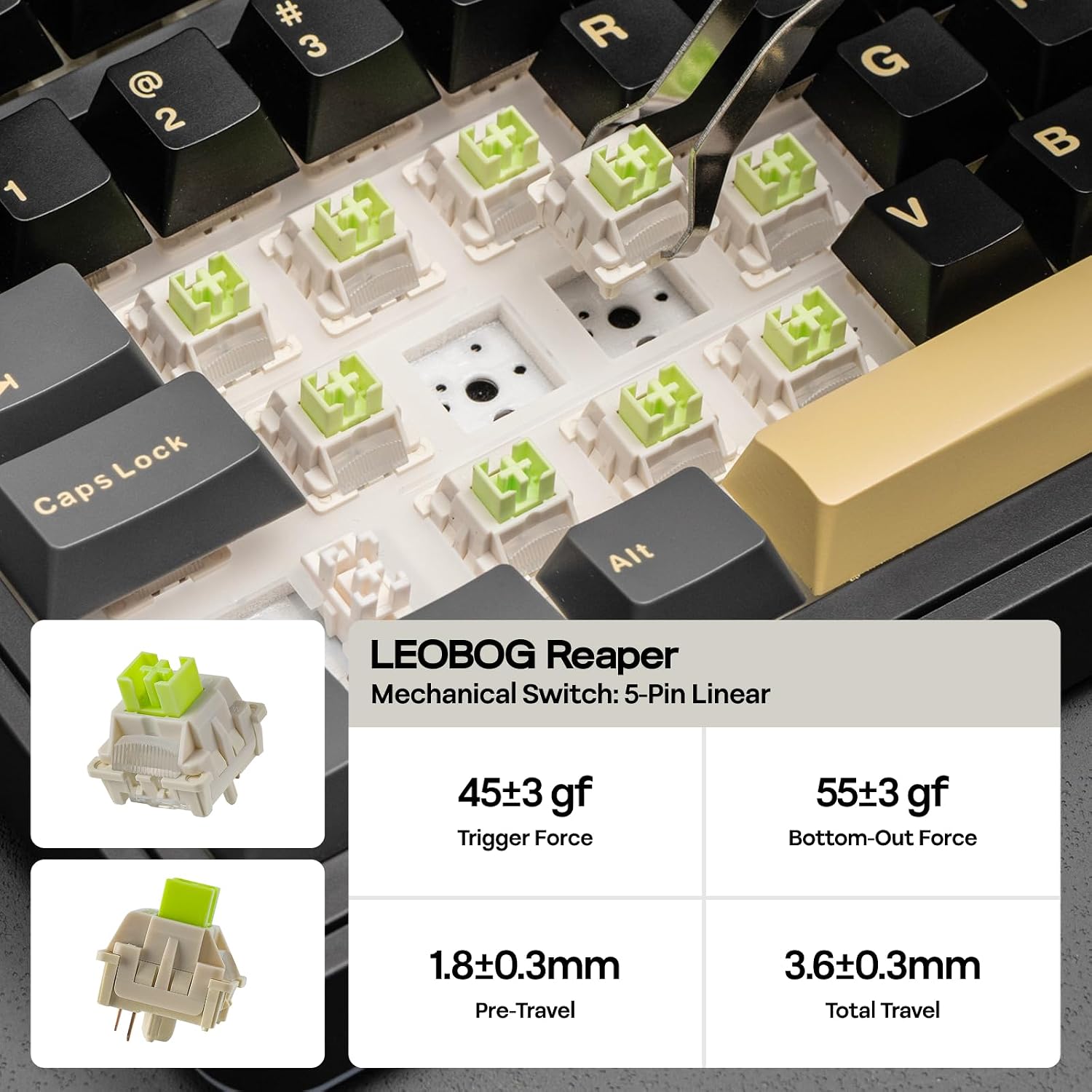 Thumbnail 4 de EPOMAKER EA75 MAX 75% wireless mechanical keyboard ⌨