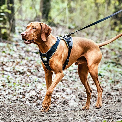 Thumbnail 2 de Julius-K9 IDC Longwalk Arnés S, Negro-Gris 🐕