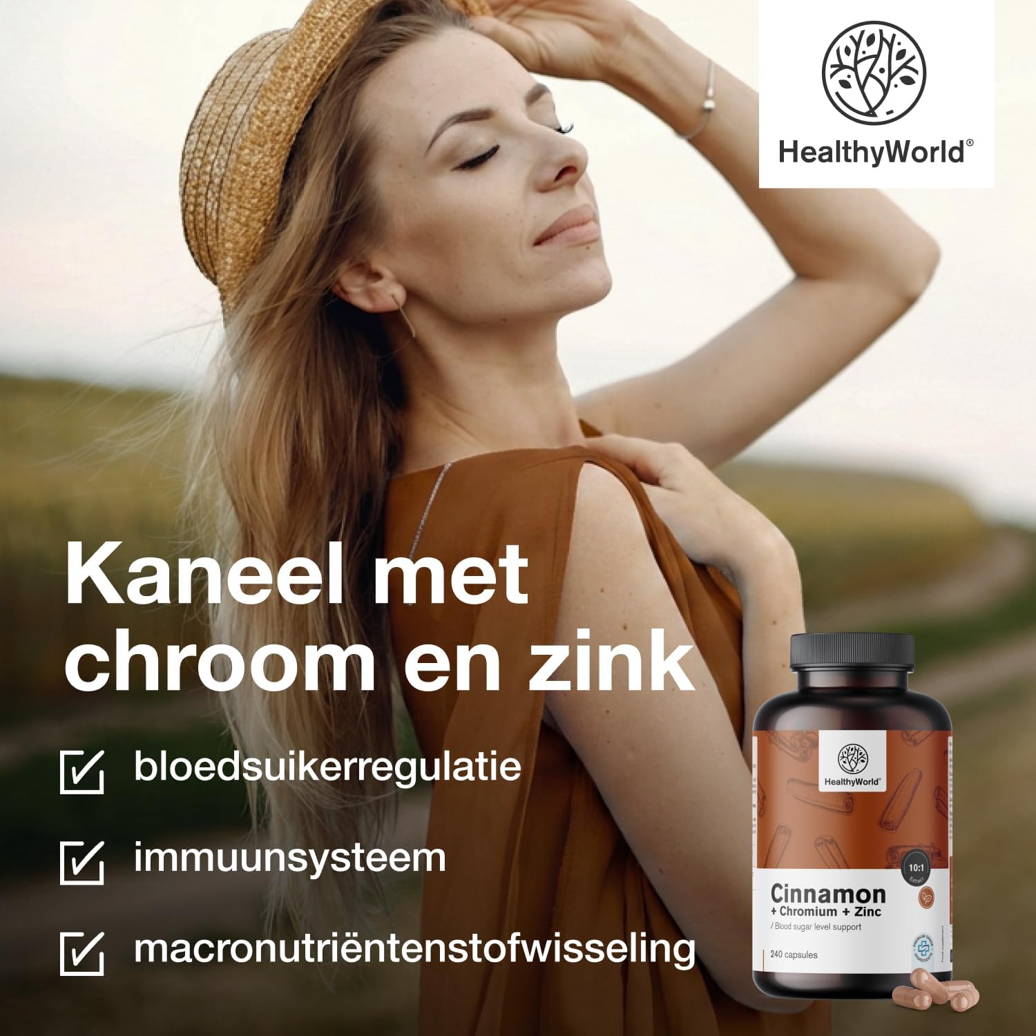 Detalle de HealthyWorld Kaneel met Chroom en Zink capsules, 240 stuks, vegetarisch