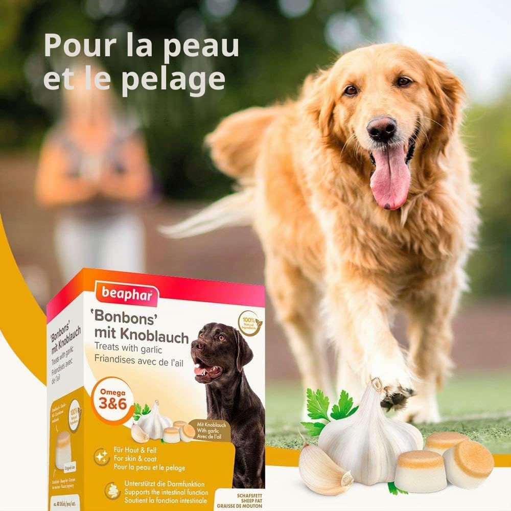 Detalle 2 de beaphar Bonbons d’ail pour chiens (245 g) aux oméga 3 6 9