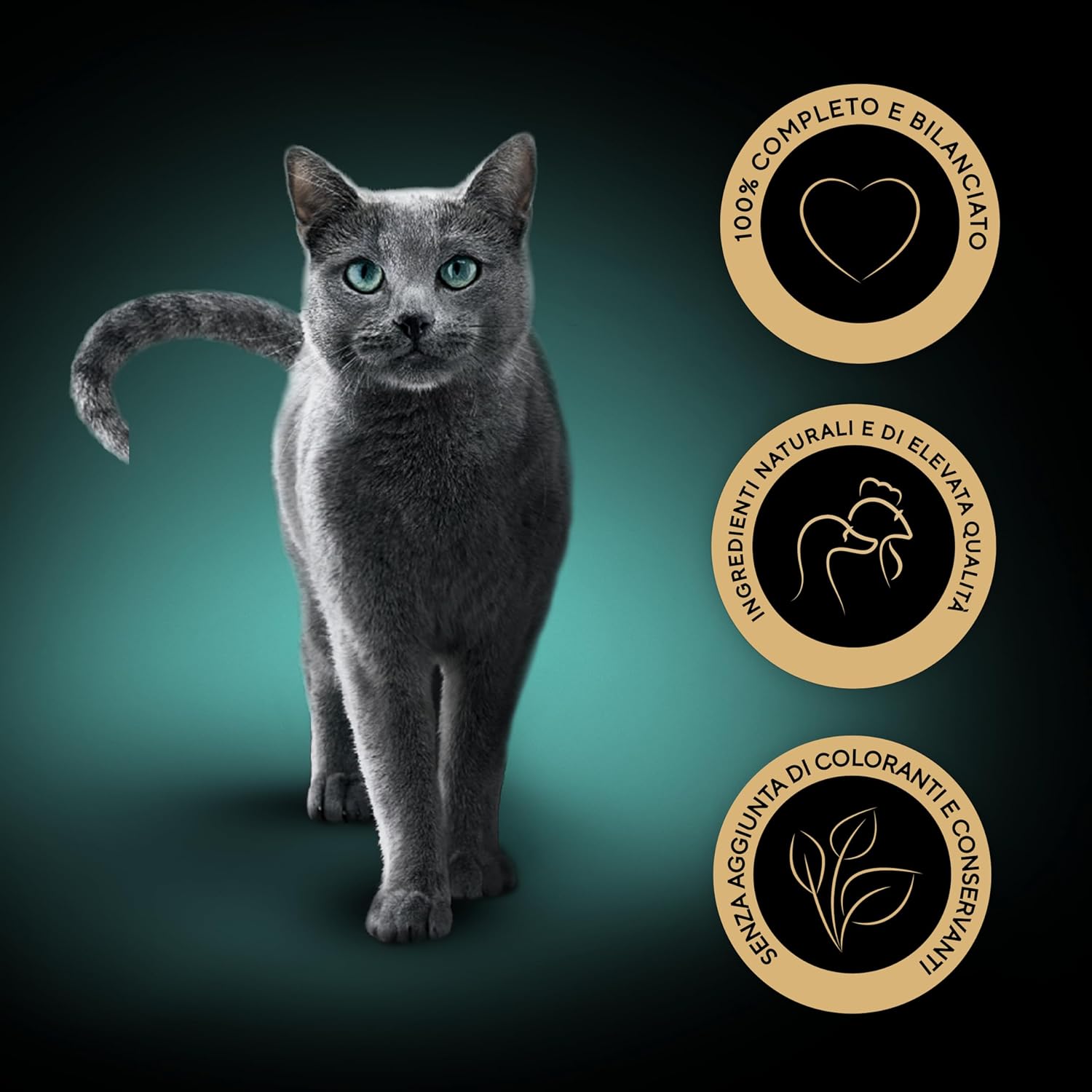 Thumbnail 1 de Sheba Select Slices en sachets pour chat adulte (canard, dinde, poulet et volaille) avec sauce — 120 x 85 g