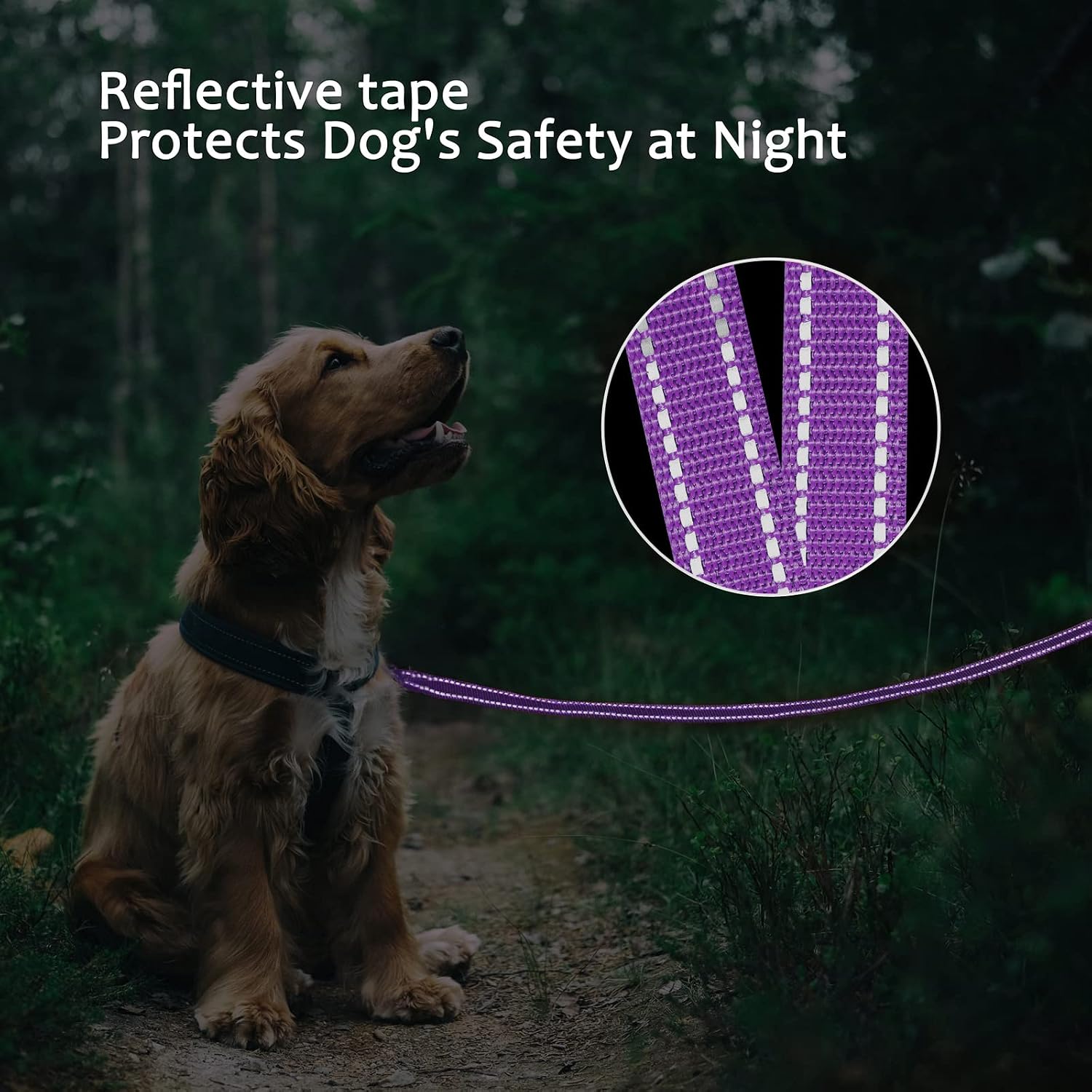 Detalle de COMSLE Long Leads for Dog Training (3m–20m) extra long nylon dog lead with rotating buckle
