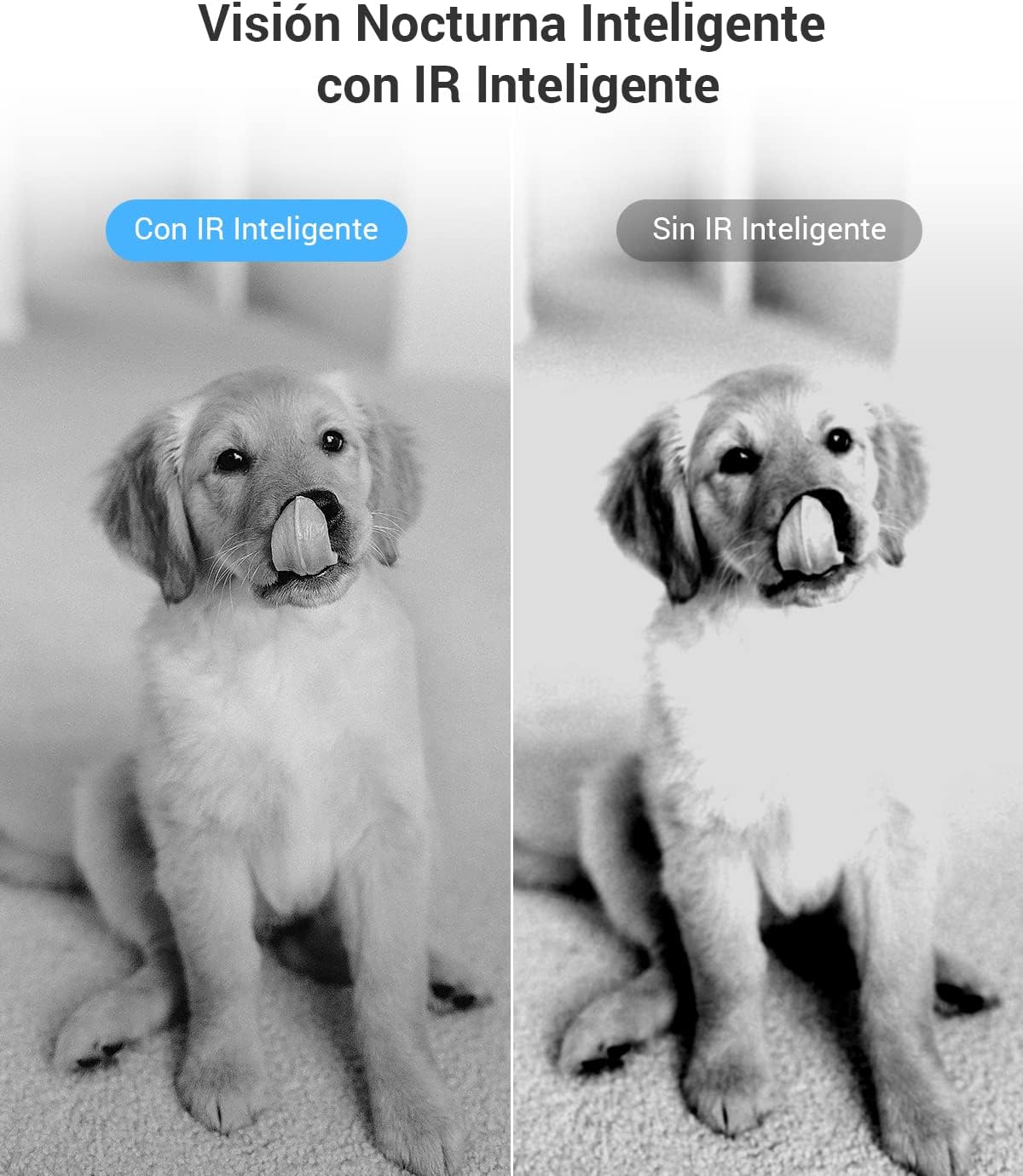 Thumbnail 4 de EZVIZ C6N 2-Pack: Cámaras WiFi 360º, Video 1080P, Audio y Control