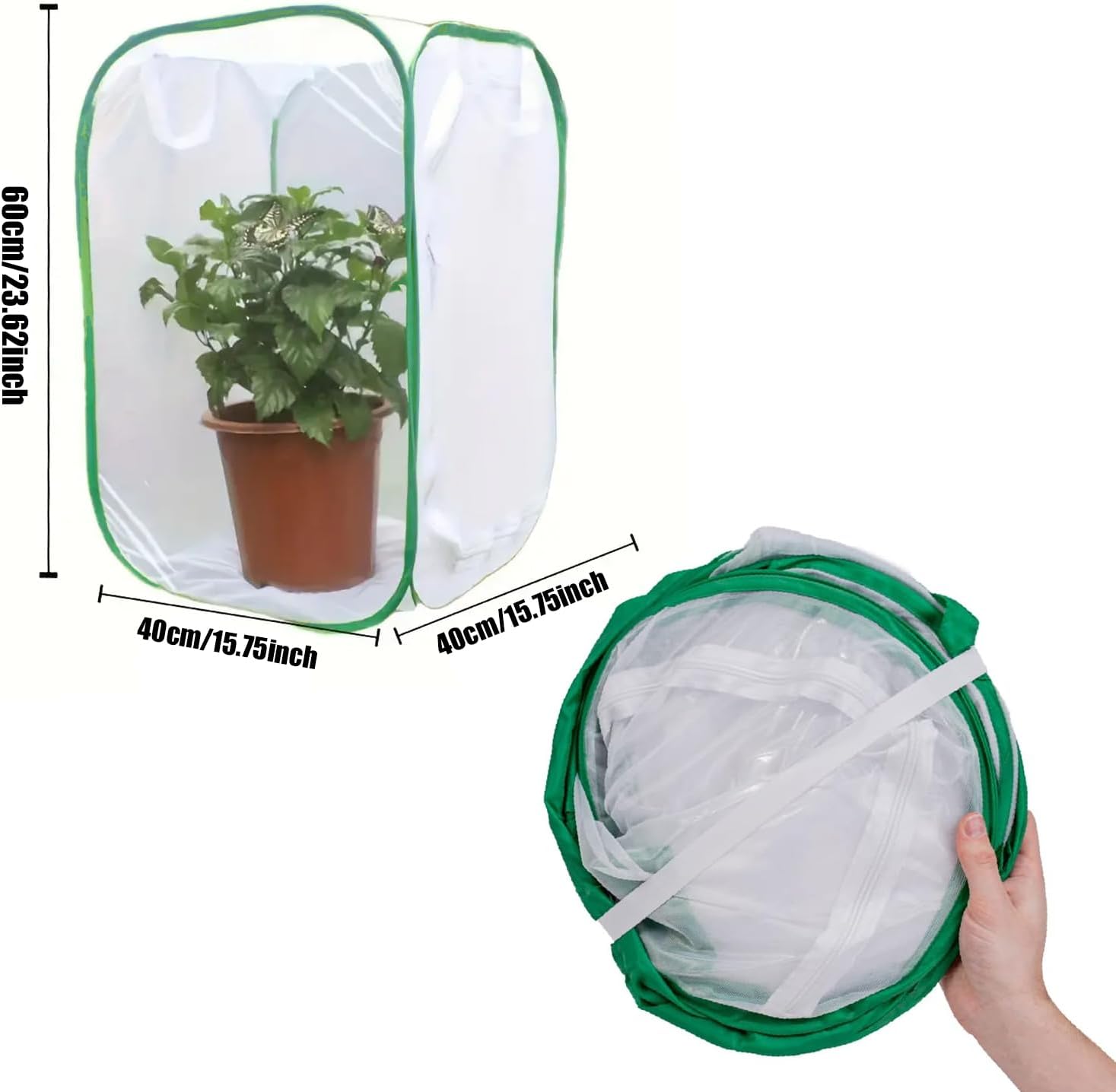 Thumbnail 1 de Butterfly and Insect Habitat Cage by Ompinda: Collapsible, Transparent Pop-up Enclosure for Caterpillars and Flying Insects