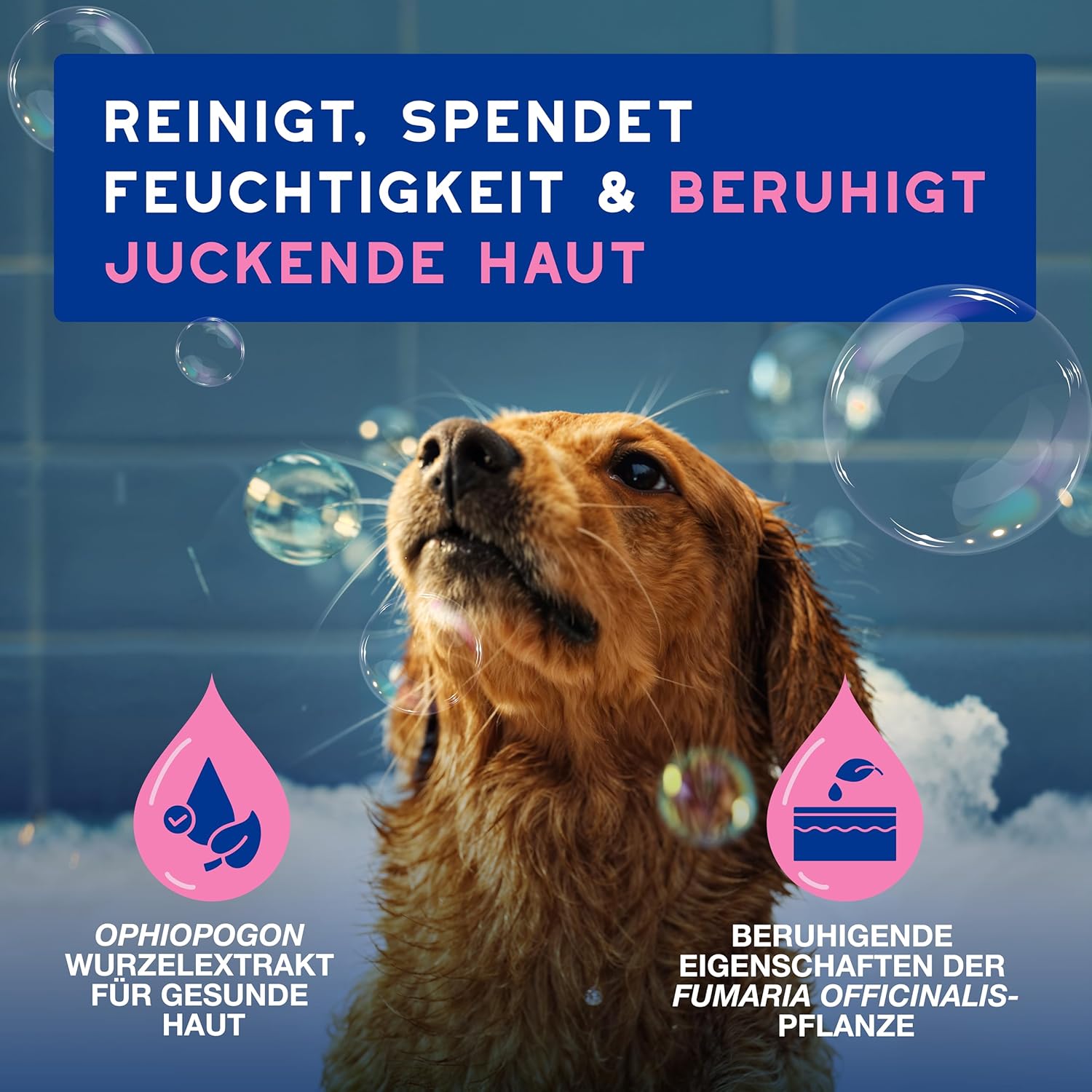 Detalle 2 de DOUXO Skin & Coat SPA – Ultra-Safe Shampoo für empfindliche Haut, 250 ml