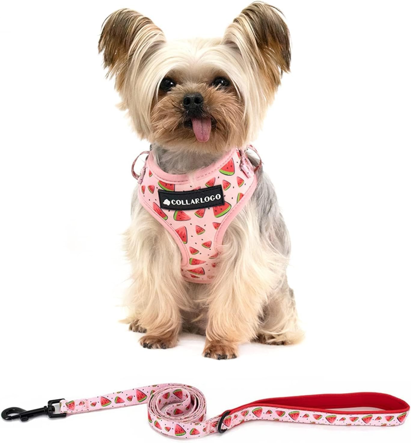 Detalle 1 de Coowone Dog Harness and Leash Set, Neoprene