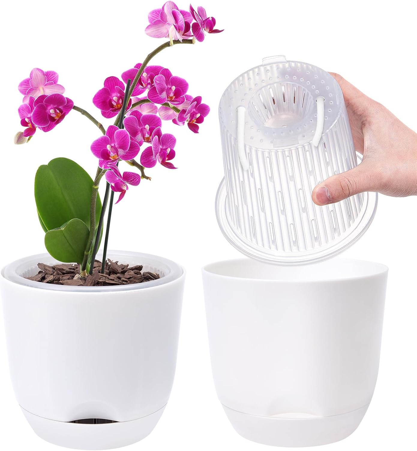 Thumbnail 6 de QCQHDU orchid pots 2 pack, 5.8 in