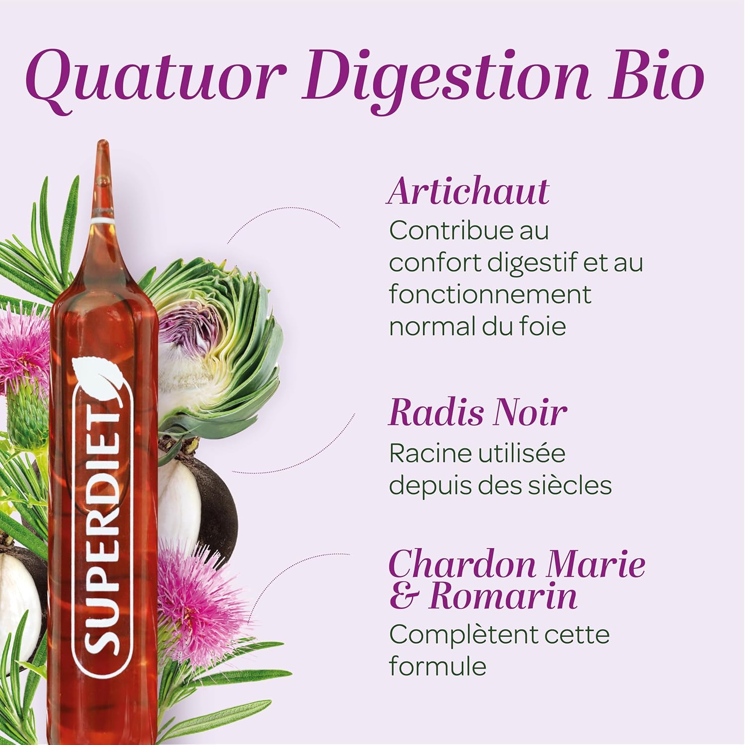 Thumbnail 3 de SUPERDIET-QUATUOR DIGESTION BIO - Bien-être du foie, Radis noir Artichaut Chardon Marie Romarin (20 ampoules)