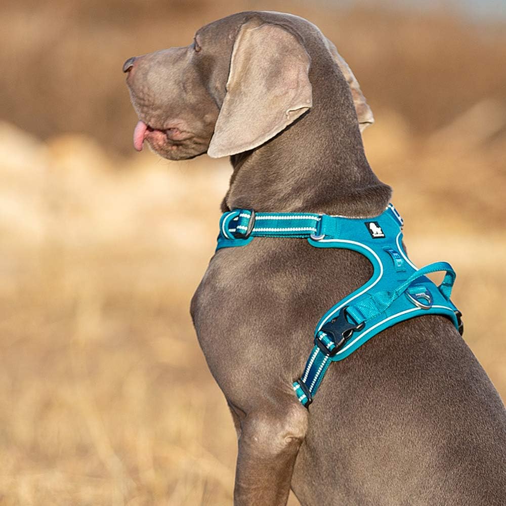 Thumbnail 5 de Truelove TLH56512 No Pull adjustable reflective step-in dog harness (blue) for small to large pets
