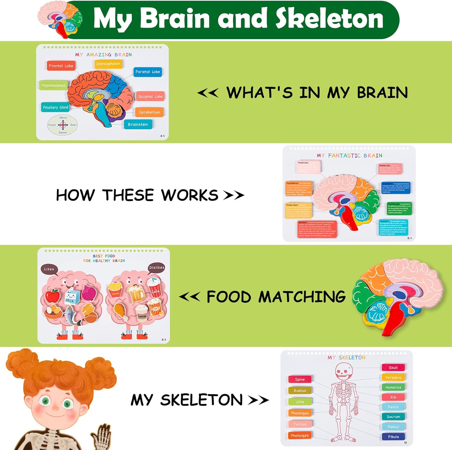 Detalle de Freebear Montessori Busy Book: Human Body Anatomy for Kids