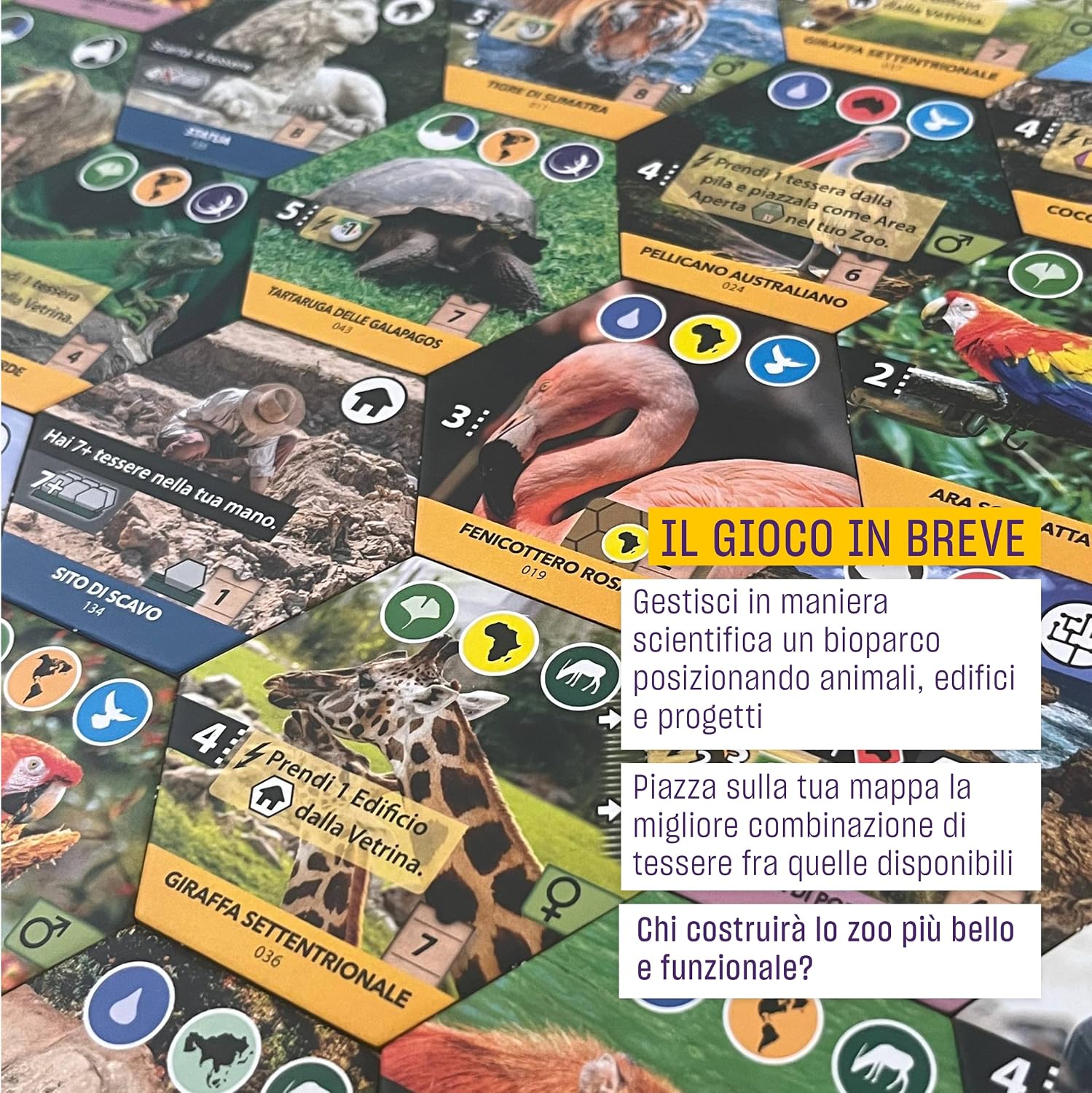 Detalle de Cranio Creations Ark Nova: Sanktuarium zwierząt – gra planszowa, wydanie włoskie