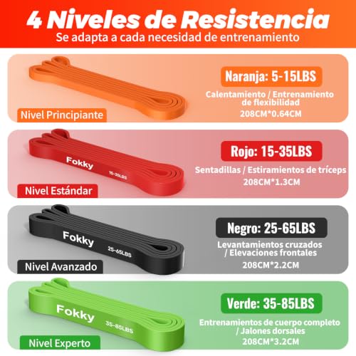 Detalle 2 de Fokky set de bandas elásticas de musculación, 4 resistencias y bolsa