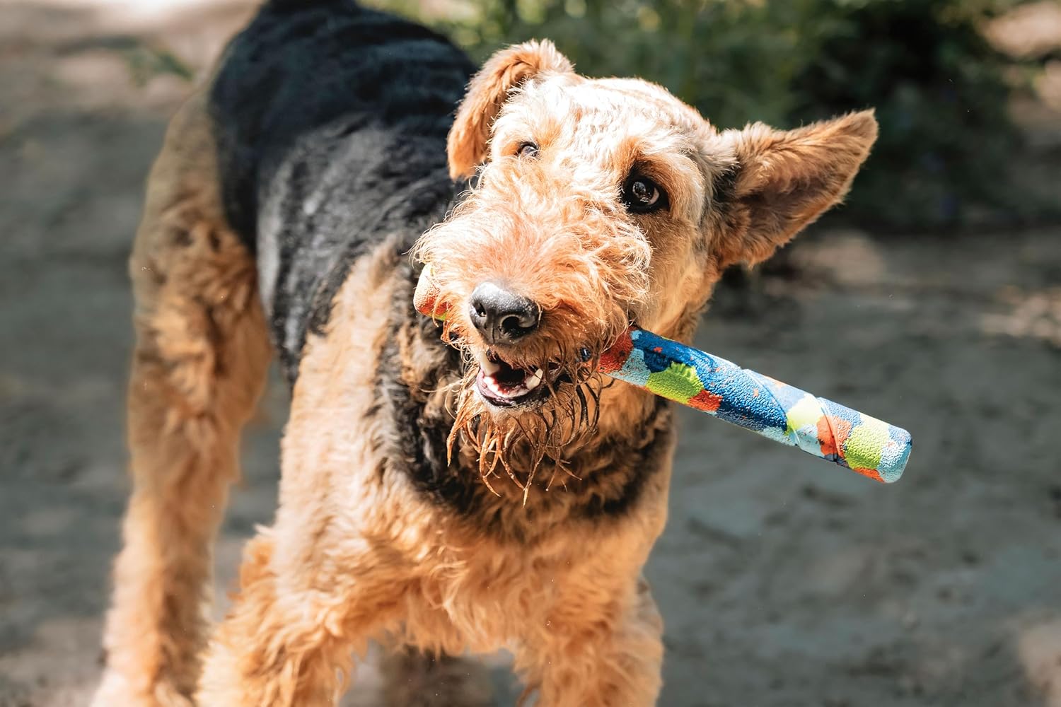 Thumbnail 3 de Chuckit! EcoFetch Ultra Stick – Bastone da inseguire per cani, gomma riciclata, 28 cm