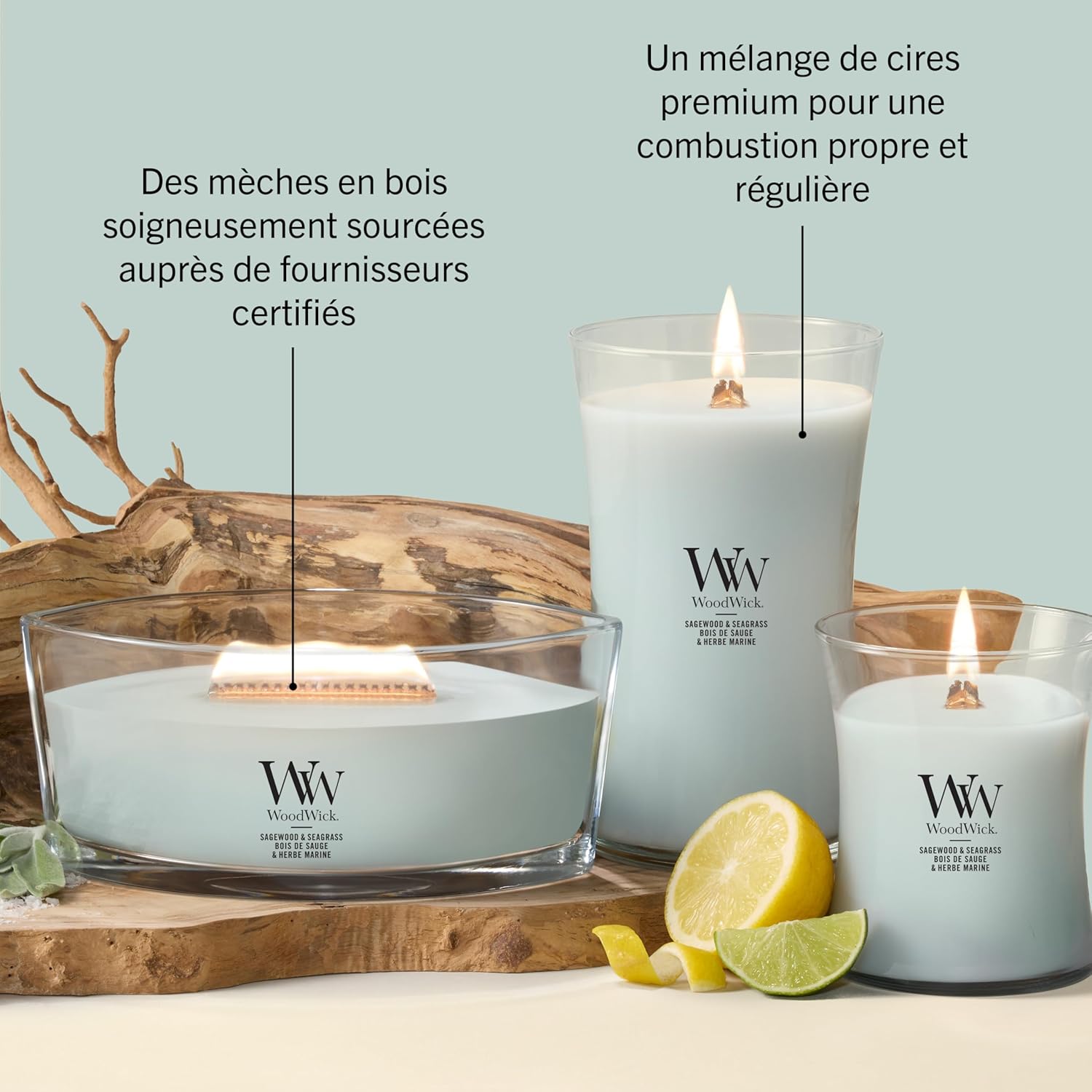 Thumbnail 6 de WoodWick Bougie parfumée Ellipse Sagewood & Seagrass – 453 g