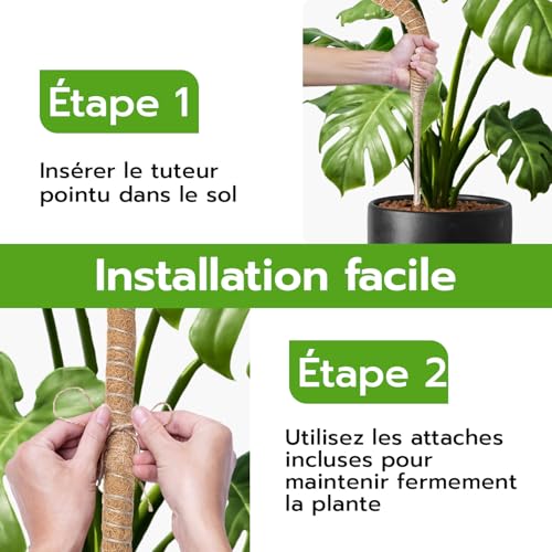 Detalle de Wigearss 2 Pièces Tuteur Plante Grimpante en Coco sur Piquet 60 cm – Support flexible pour Monstera et Vignes d’intérieur