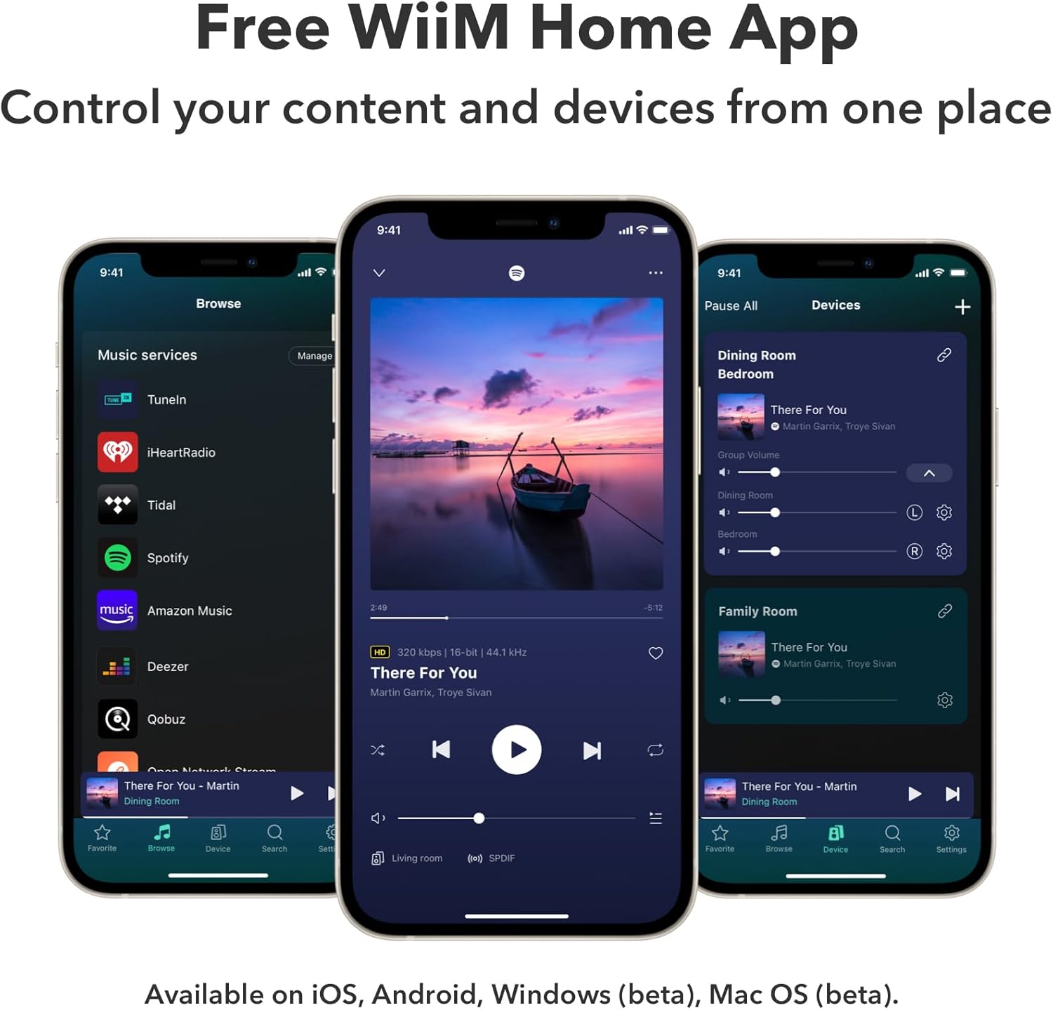 Thumbnail 5 de WiiM Pro Plus AirPlay 2 Receiver: Multiroom Wi‑Fi streaming for hi‑res audio and voice control