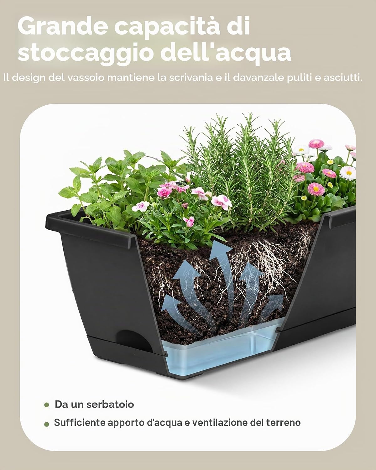 Detalle de Bamworld Set di 7 Fioriere da Finestra Rettangolari 42 cm con Foro di Drenaggio e Sottovaso