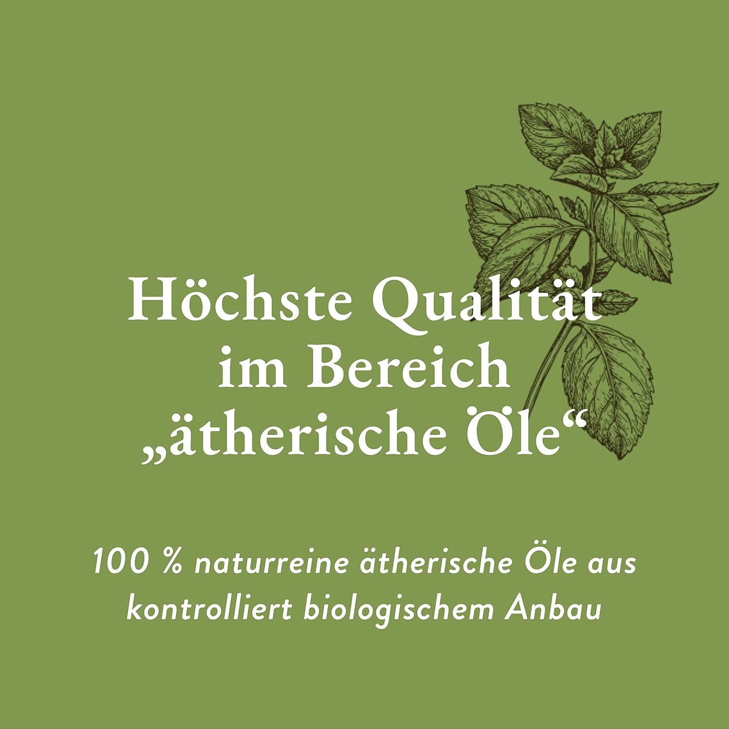 Detalle de AllgäuQuelle® Bio Saunaaufguss Set (2 x 100 ml) mit Sauna-Ölen und UV-geschützten Glasflaschen