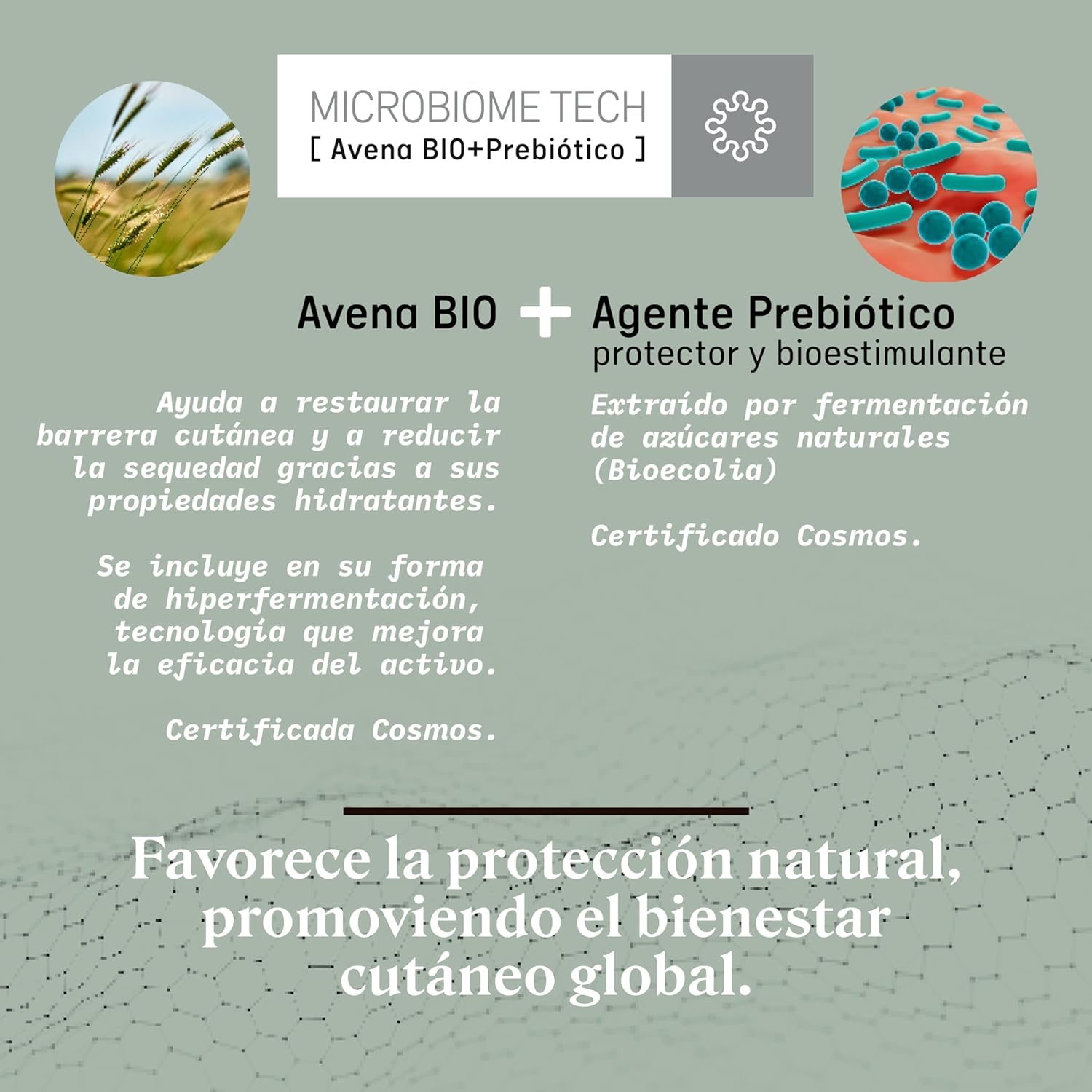 Thumbnail 6 de SUAVINEX Gel Champú bebé 750 ml