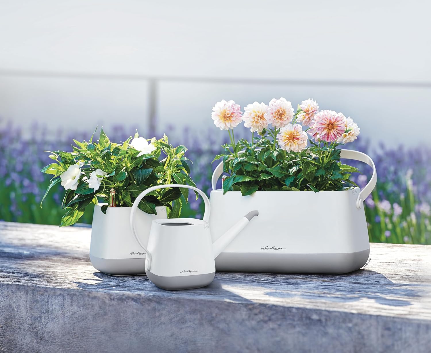 Thumbnail 2 de LECHUZA YULA 1,7 L grigio ardesia