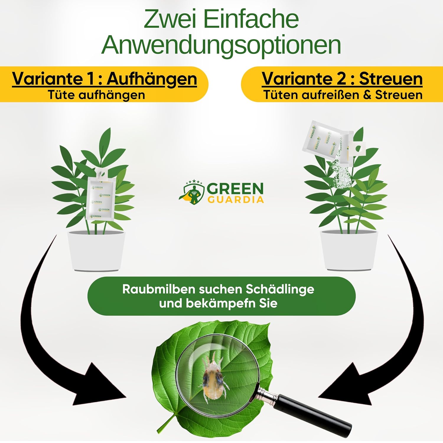 Thumbnail 2 de GREEN GUARDIA Thrips-Biokontrolle 3 Tüten