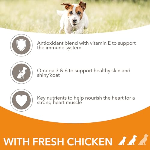 Thumbnail 3 de IAMS Adult Small Medium Dry Dog Food Chicken 3kg: steady, reliable nourishment for small and medium dogs