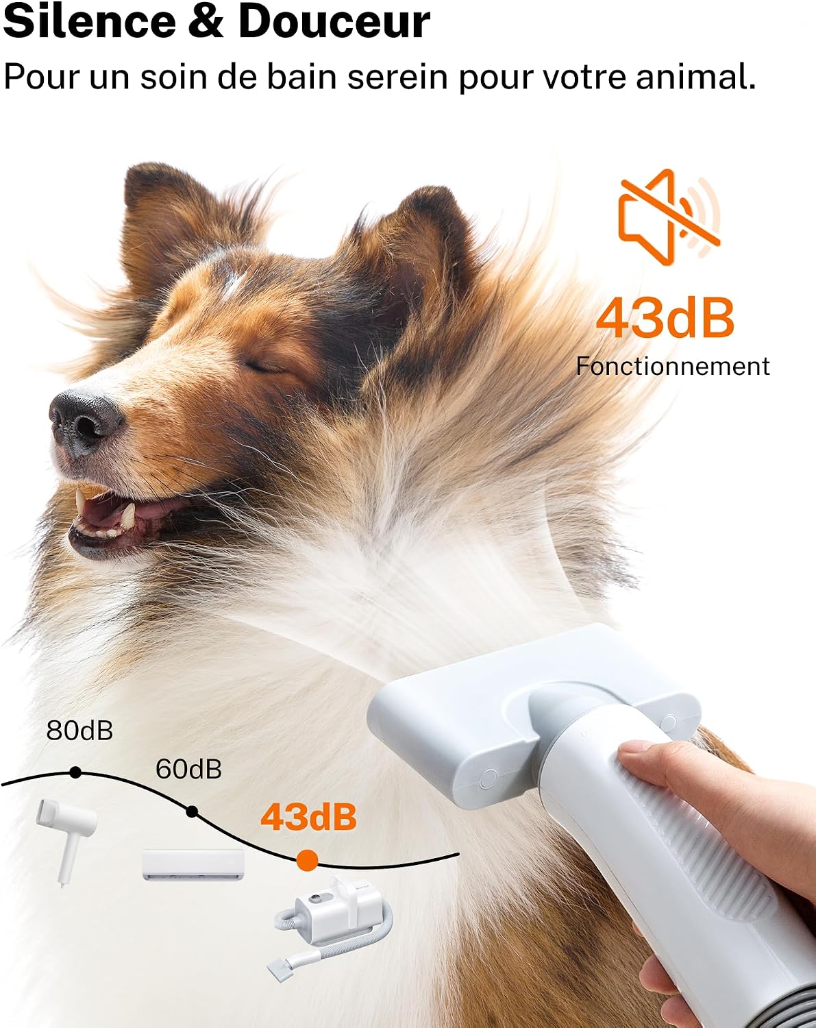 Thumbnail 1 de HomeRunPet Pulseur pour chien silencieux 43 dB : sèche-cheveux professionnel avec 3 buses