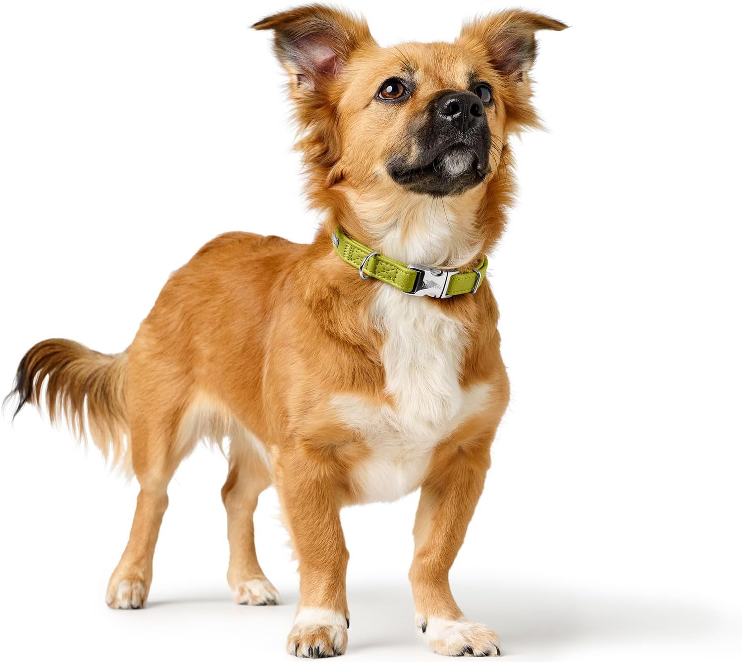 Detalle de HUNTER Hundehalsung Amalfi ALU-Strong (grün) – vegan, stufenlos verstellbar, mit Alu-Strong Verschluss, Made in Germany