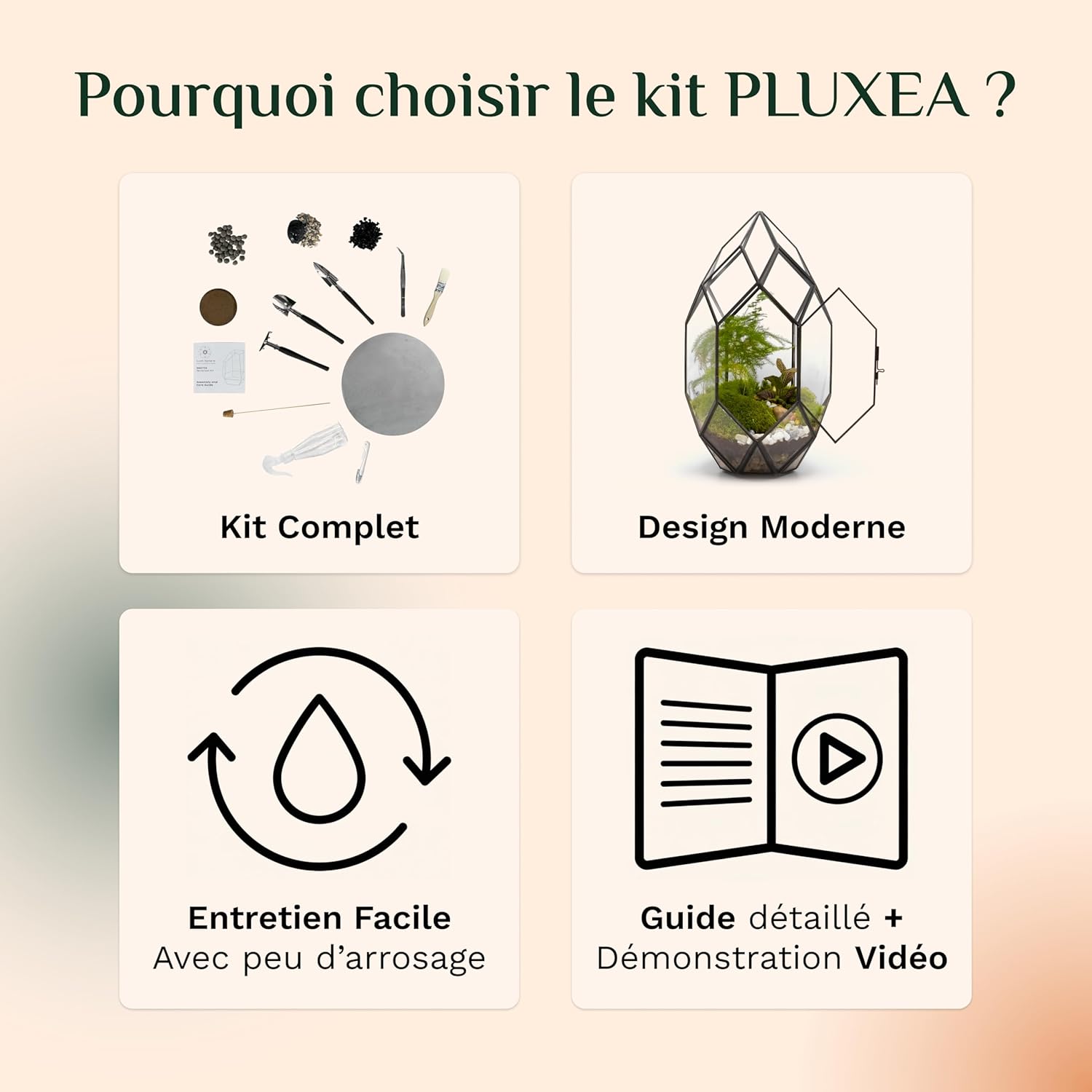 Detalle de Lush Sphere PLUXEA – Kit terrarium complet DIY (sans plantes)