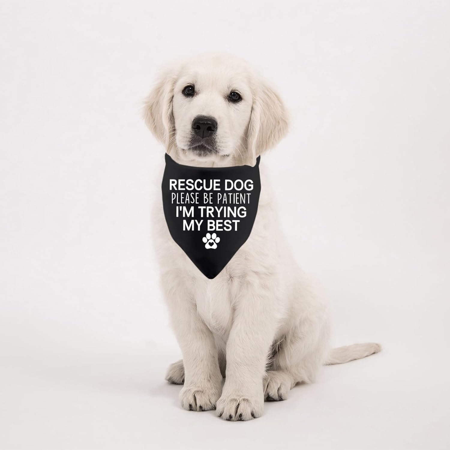 Thumbnail 4 de Rescue Dog Bandana "Please Be Patient I'm Trying My Best"