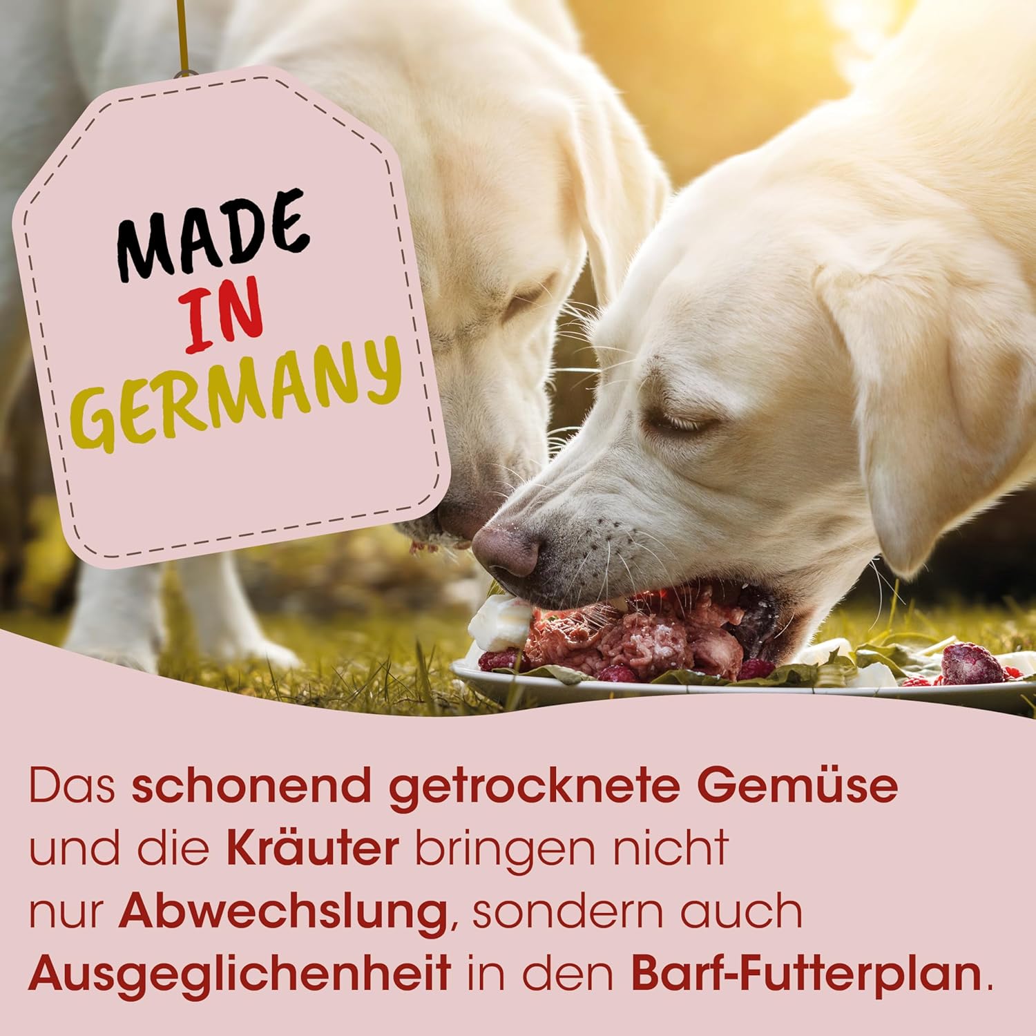 Thumbnail 3 de Fit-BARF Sensitive für Hunde & Katzen – Ergänzungsfuttermittel mit schonend getrockneten Gemüse-Kräuter-Zutaten (2 kg)