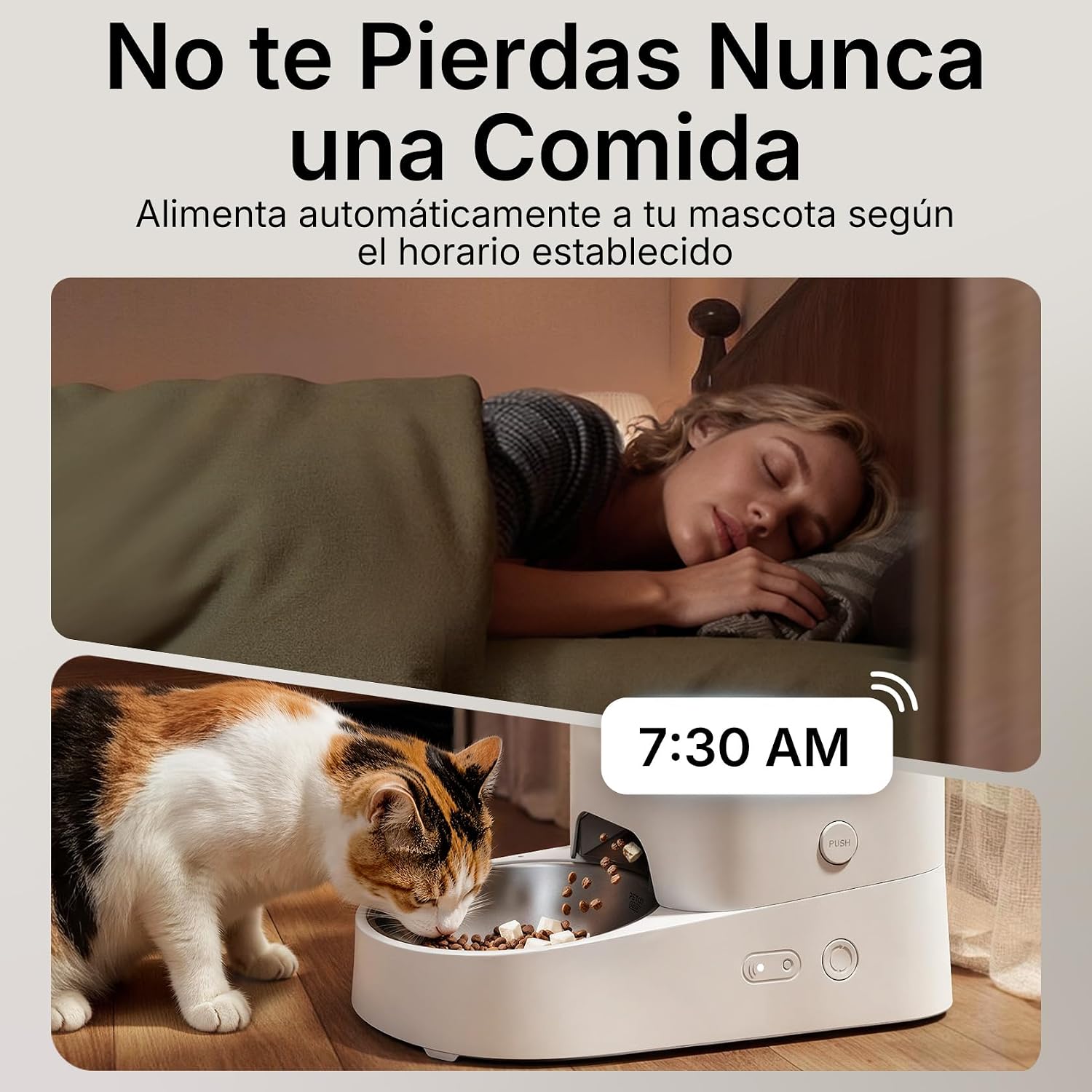 Detalle 2 de PETKIT Comedero Gato Automático WiFi 3L 🐱