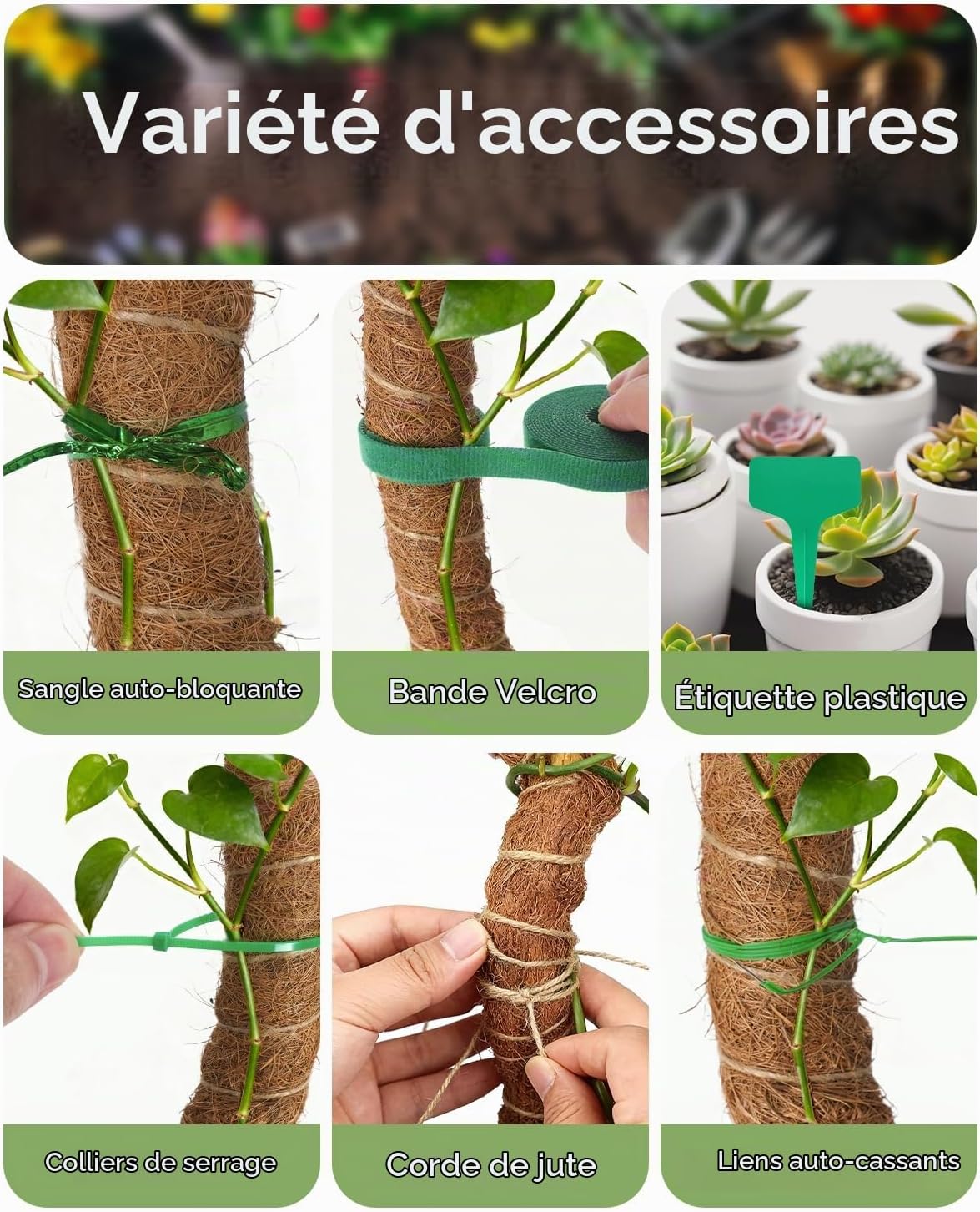 Detalle de Ouxayapl Monstera-stokken van 120 cm, flexibel met kokosvezel en accessoires