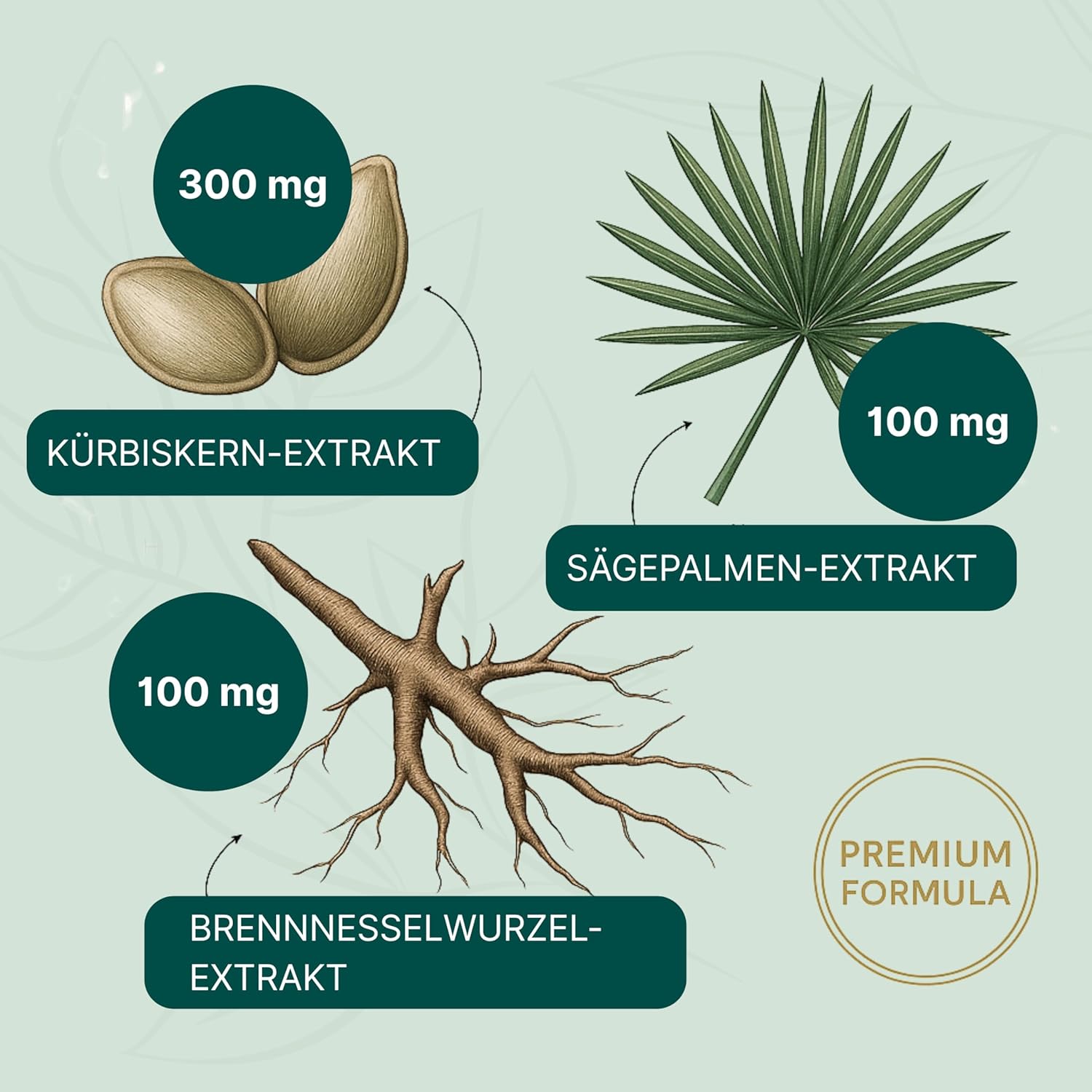 Thumbnail 4 de ESSENZ Prosta Vit Kapseln (4x60) – natürliche Prostata-Unterstützung mit Kürbiskern-, Sägepalm- & Brennnesselwurzelextrakt