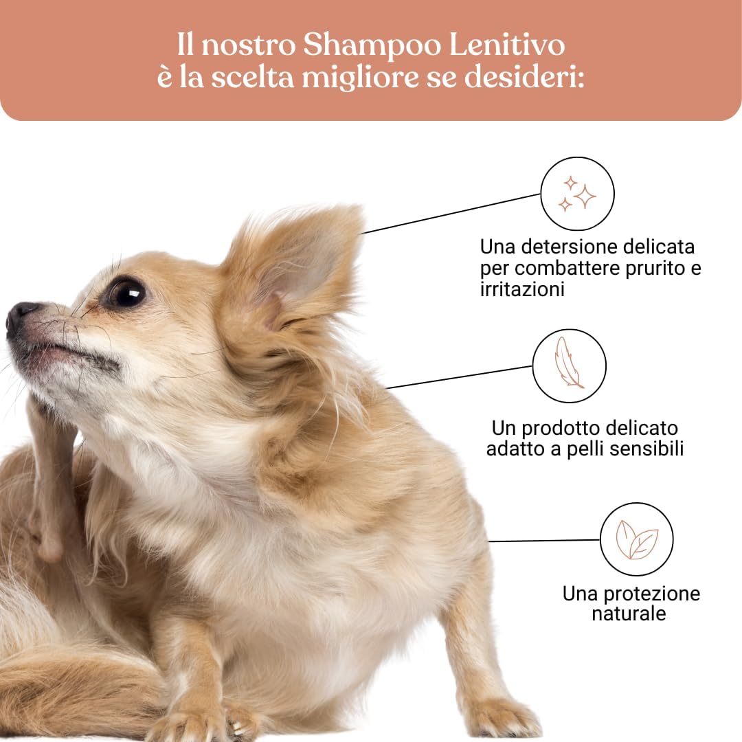 Detalle de Bau Cosmesi Shampoo Lenitivo per Cani: sollievo per pelle sensibile con camomilla, calendula e lavanda