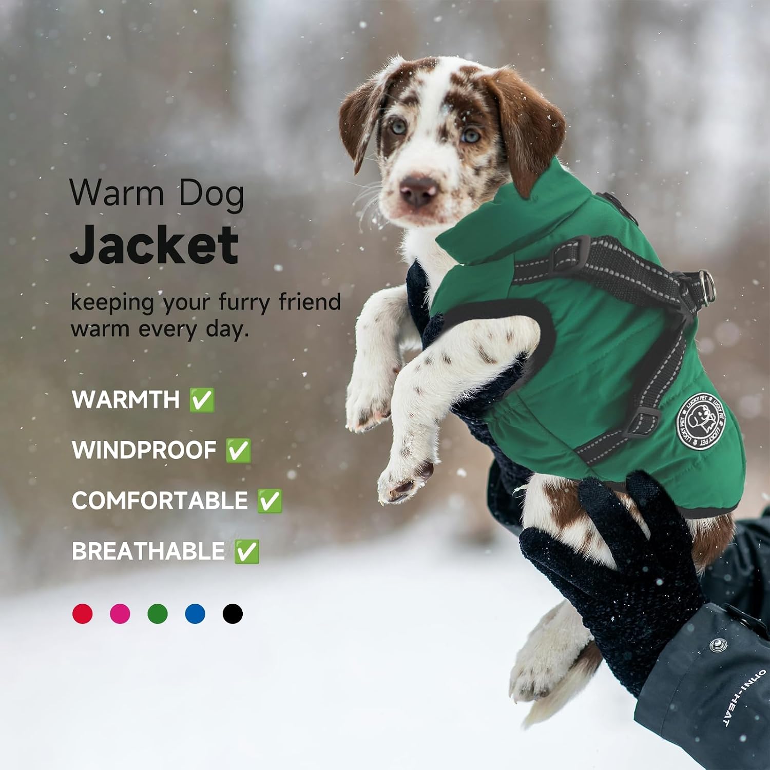 Detalle 2 de Waterproof Dog Coat with Harness Built in 3 Sizes