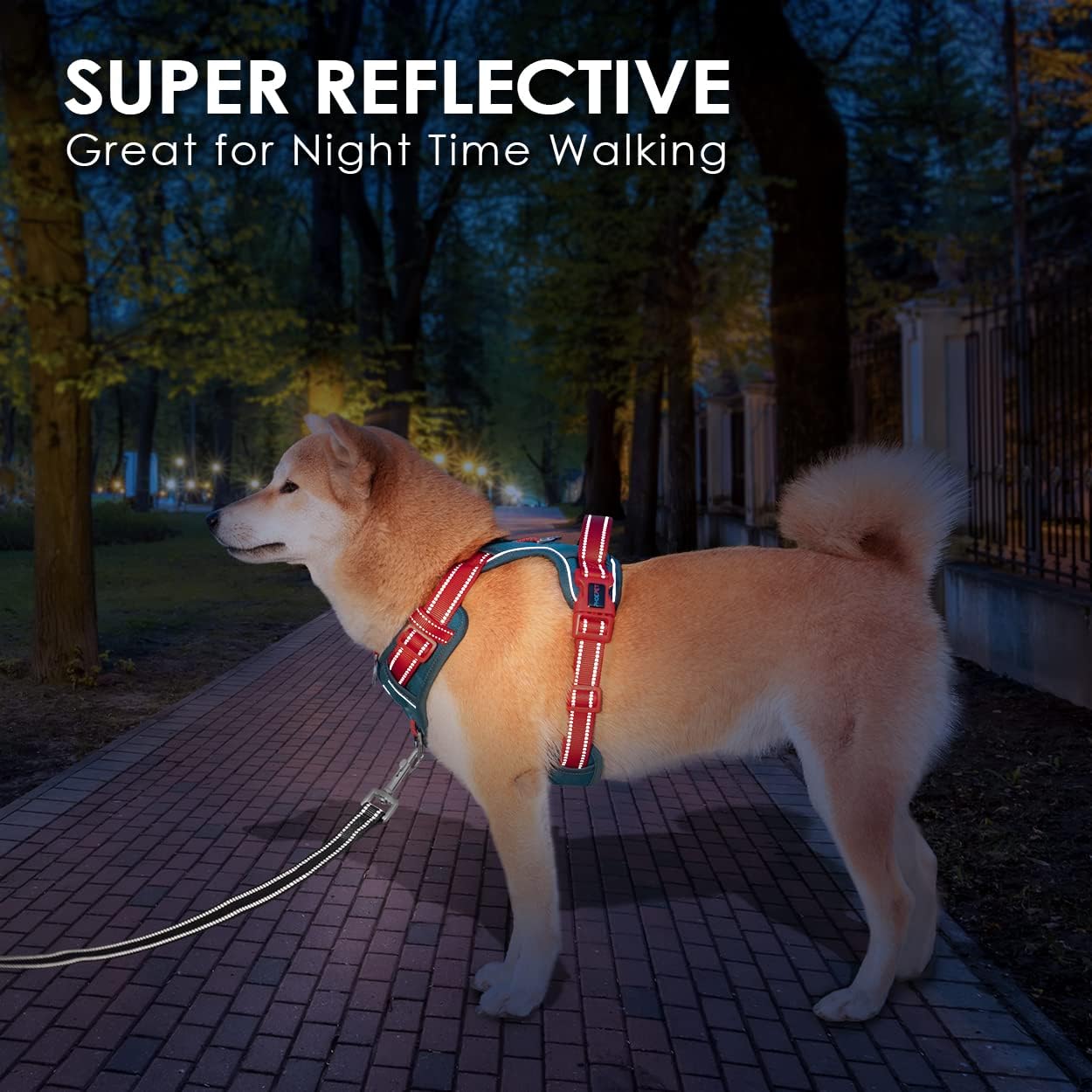 Thumbnail 4 de PHOEPET Dog Harness No Pull – Escape Proof Adjustable Vest (Teal Base, Red Straps, Size S)