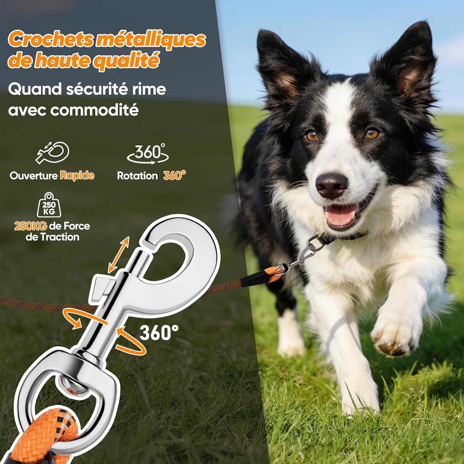 Detalle 2 de Aystkniet longe pour chien avec crochets pivotants aux deux extrémités (corde orange)