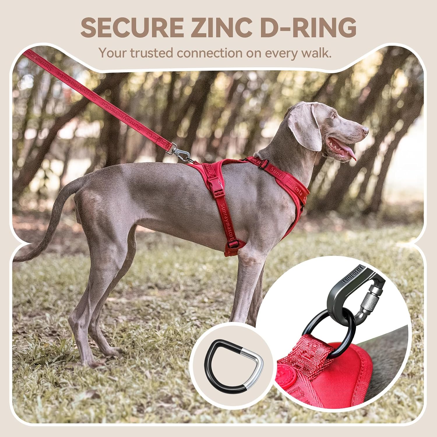 Thumbnail 6 de Sunraymascota Dog Harness, Lycra