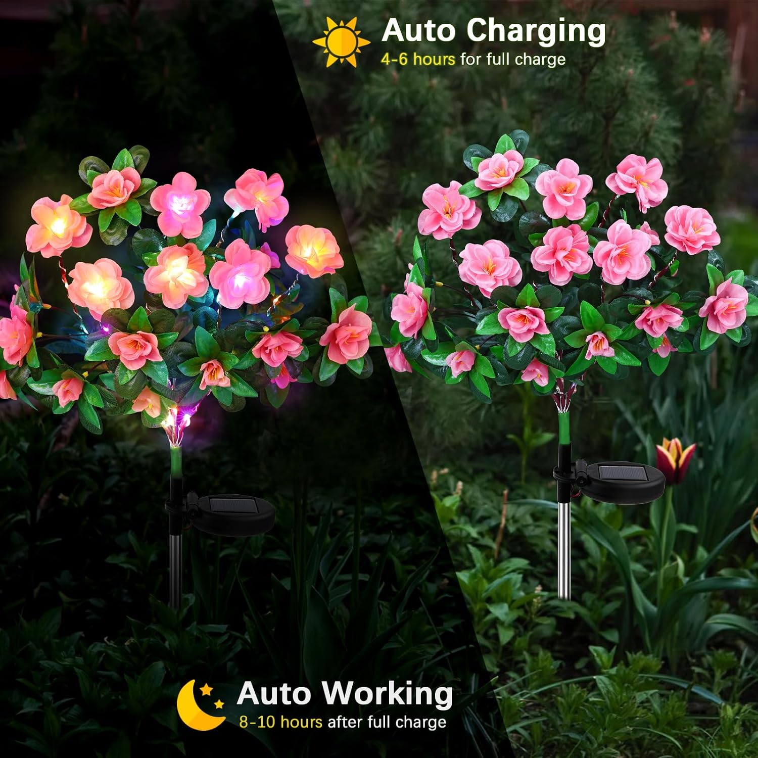 Detalle de FWLWTWSS Solar Flower Lights Outdoor Garden – 2 Pack Rhododendron Lights (Pink)