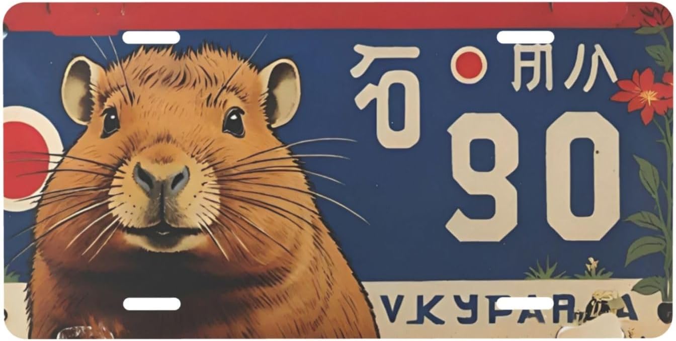 Detalle de Decorative License Plate 12 × 6 Inch